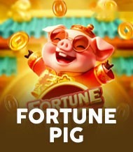 Fortune Pig