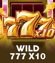 Wild 777 x10